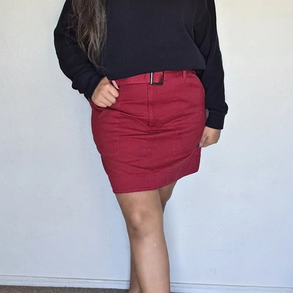 NWT Banana Republic Zipper Front Skirt Size 12 - Picture 2 of 7